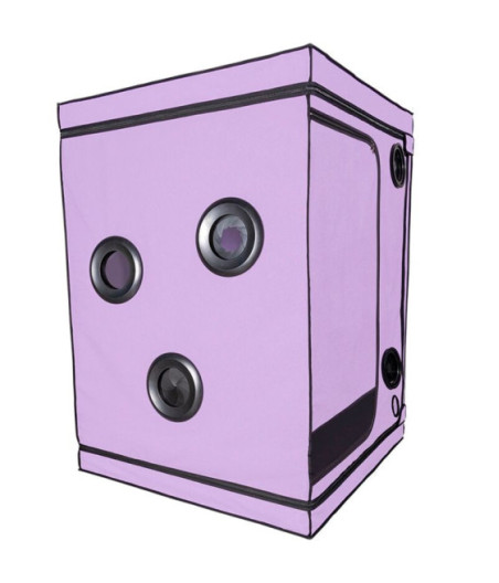 SECRET DOME - KINK CLUB CABIN SCANDALE VIOLA